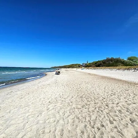 Strandgut An Der Promenade Rerik