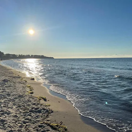 Strandgut An Der Promenade